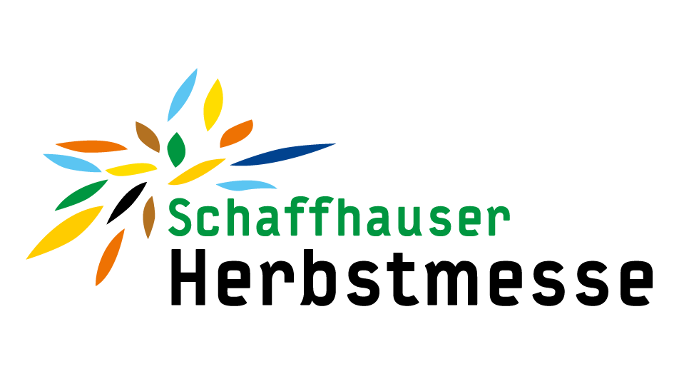 logo size